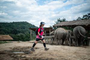 BIB: 
                            <button type="button" onclick="openModal(22424128)" class="btn btn-primary btn-sm float-right btn-popup" data-toggle="modal" data-target=".modal-high-quality">
                        <i class="fas fa-shopping-cart"></i> Add to Cart
                    </button>
                                            <button type="button" onclick="isThisMe(22424128, true)" class="btn btn-success btn-sm float-right btn-popup btn-isme hidden" data-toggle="tooltip" data-placement="bottom" title="นี่คือรูปของคุณใช่ไหม คลิกที่นี่เพื่อเอาเข้าอัลบั้ม">
                        <i class="fas fa-plus"></i> Add to album
                    </button>
                    <button type="button" onclick="isThisMe(22424128, false)" class="btn btn-warning btn-sm float-right btn-popup btn-isnotme hidden">
                        <i class="fas fa-ban"></i> Remove from album
                    </button>